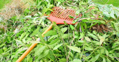 Feuilles et branches d'un jardin avec un râteau
